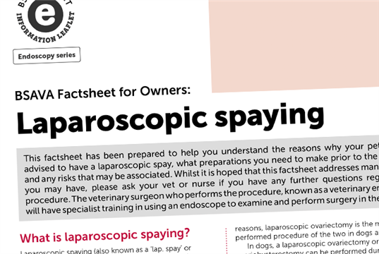 New BSAVA laparoscopic spaying fact sheet to give clients