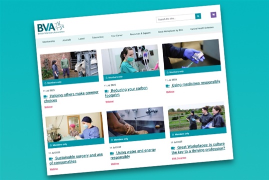 BVA launches CPD library for members
