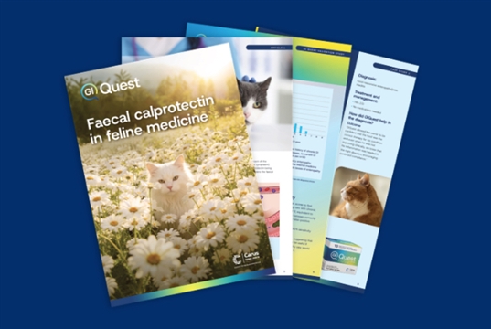 New guide offers guidance on faecal calprotectin testing in cases of feline GI disease