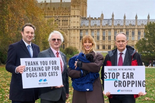 Chambers' animal welfare bill passes into law
