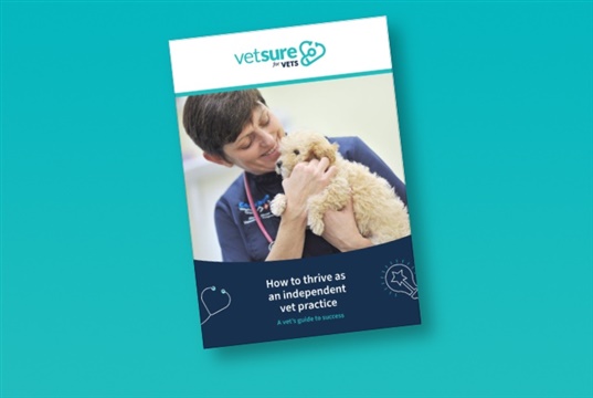New book to help indie vet practices succeed