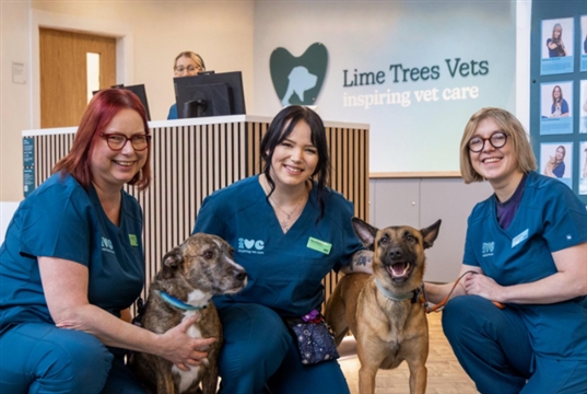 IVC rolls out unified UK identity