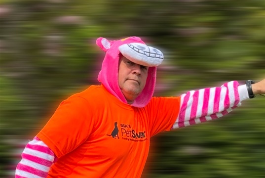 BSAVA President to go wing walking for BSAVA PetSavers