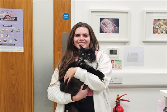 Nominations open for veterinary receptionist awards