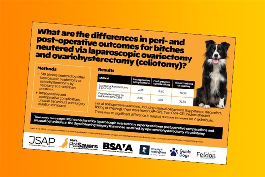Laparoscopic ovariectomy results in fewer complications