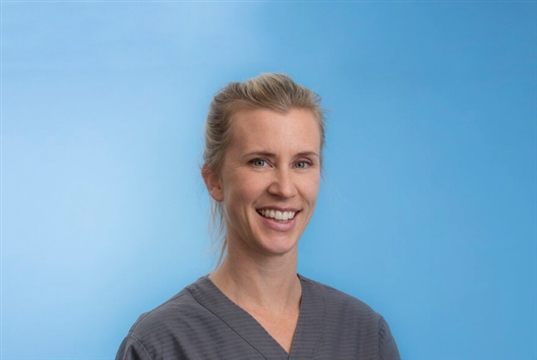 Veterinary radiography webinar to focus on safer, quicker set-ups