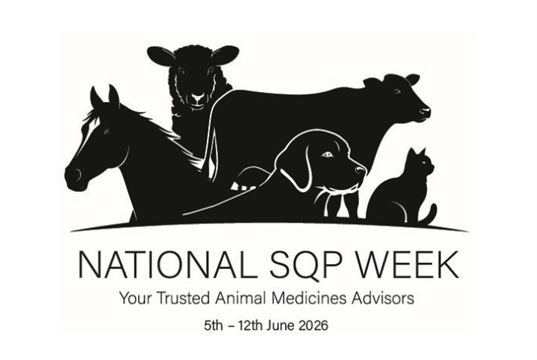 National SQP Week to drive better awareness and understanding