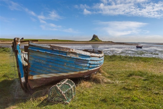 Vet nurses asked to join Northumberland coastal hike