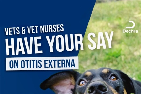 Vet nurses asked to share their views on otitis externa in dogs