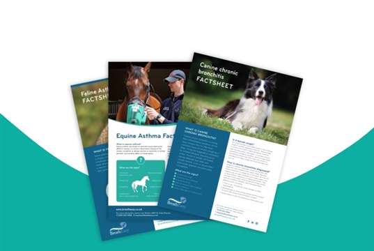 New respiratory factsheets for vet nurses to give cat, dog and horse owners