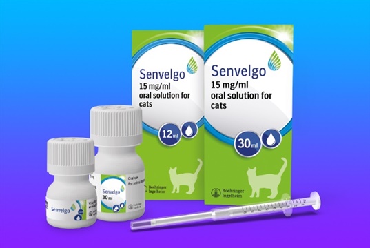 New, smaller bottle of Senvelgo for cats newly diagnosed with diabetes