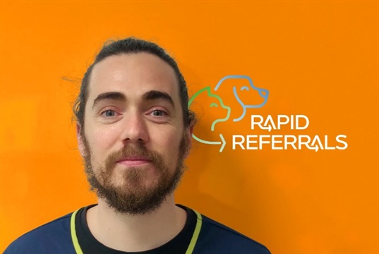 New service lets GP vets get multiple referral quotes simultaneously